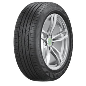 fortune fsr602