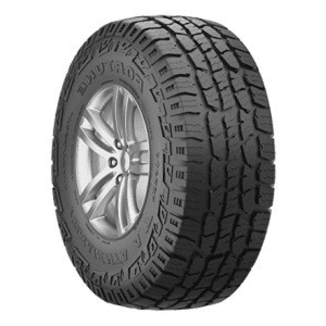 fortune 10pr fsr30